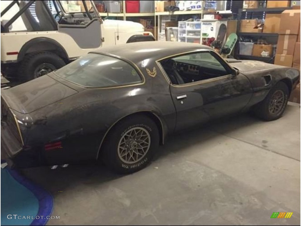 1977 Firebird Trans Am Coupe - Black / Black photo #1