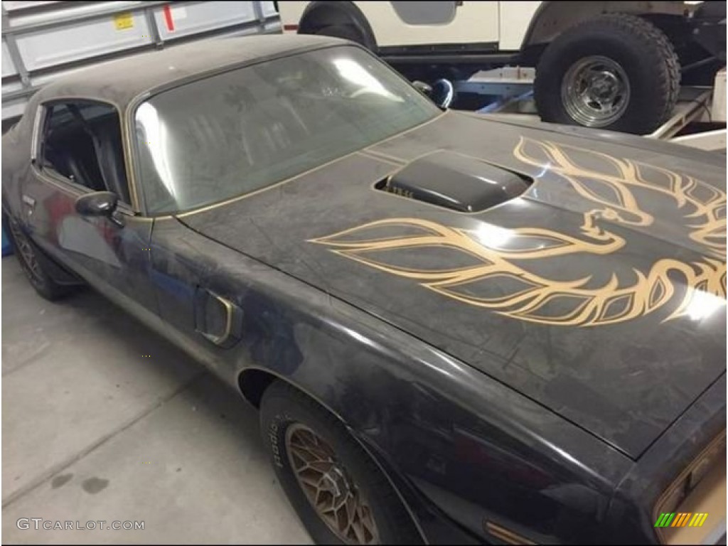 1977 Pontiac Firebird Trans Am Coupe Exterior Photos