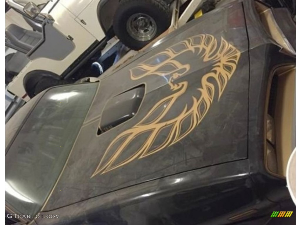 1977 Firebird Trans Am Coupe - Black / Black photo #3