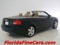Brilliant Black - A4 1.8T Cabriolet Photo No. 2