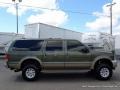 2001 Chestnut Metallic Ford Excursion Limited 4x4  photo #6