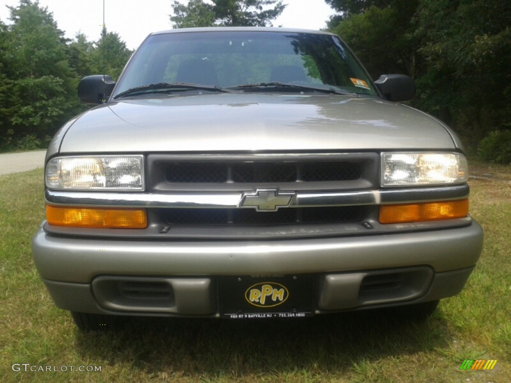 2001 S10 LS Regular Cab - Light Pewter Metallic / Medium Gray photo #2