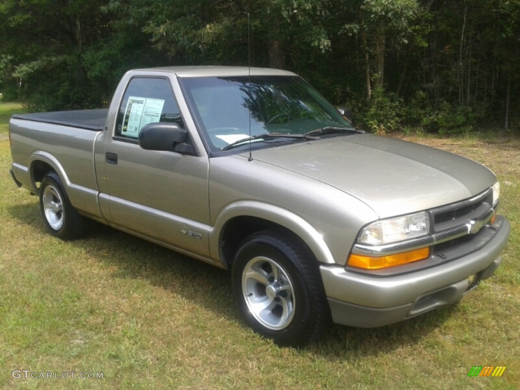 2001 S10 LS Regular Cab - Light Pewter Metallic / Medium Gray photo #3