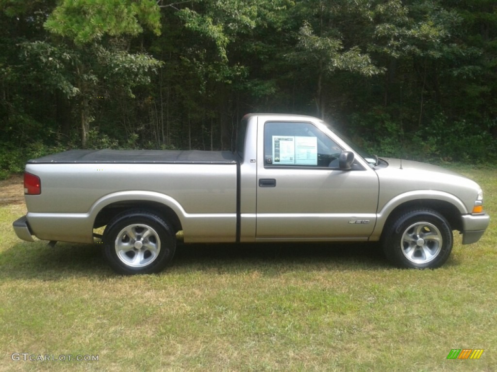 2001 S10 LS Regular Cab - Light Pewter Metallic / Medium Gray photo #4