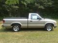 Light Pewter Metallic - S10 LS Regular Cab Photo No. 4