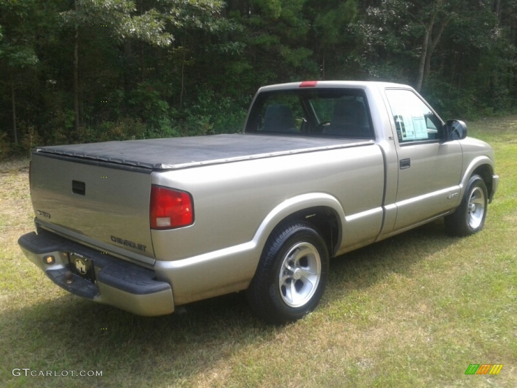 2001 S10 LS Regular Cab - Light Pewter Metallic / Medium Gray photo #5