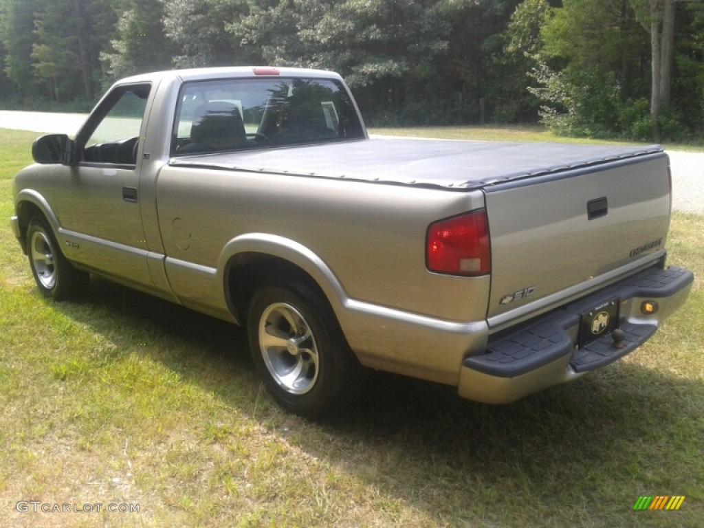 2001 S10 LS Regular Cab - Light Pewter Metallic / Medium Gray photo #8