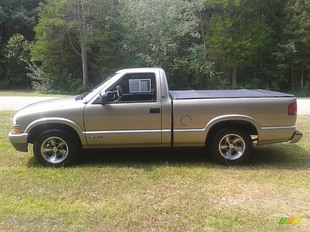 2001 S10 LS Regular Cab - Light Pewter Metallic / Medium Gray photo #9