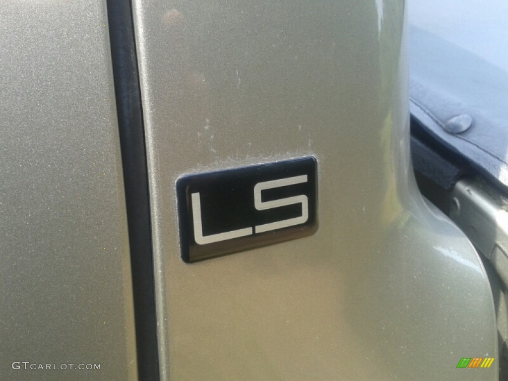 2001 S10 LS Regular Cab - Light Pewter Metallic / Medium Gray photo #10