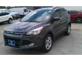 2016 Magnetic Metallic Ford Escape SE  photo #9