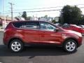 2016 Sunset Metallic Ford Escape SE 4WD  photo #4