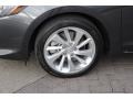 Graphite Luster Metallic - ILX Premium Photo No. 10