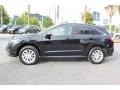 Crystal Black Pearl - RDX Technology Photo No. 4