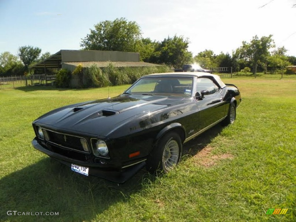 1973 Mustang Convertible - Black / Medium Ginger photo #1