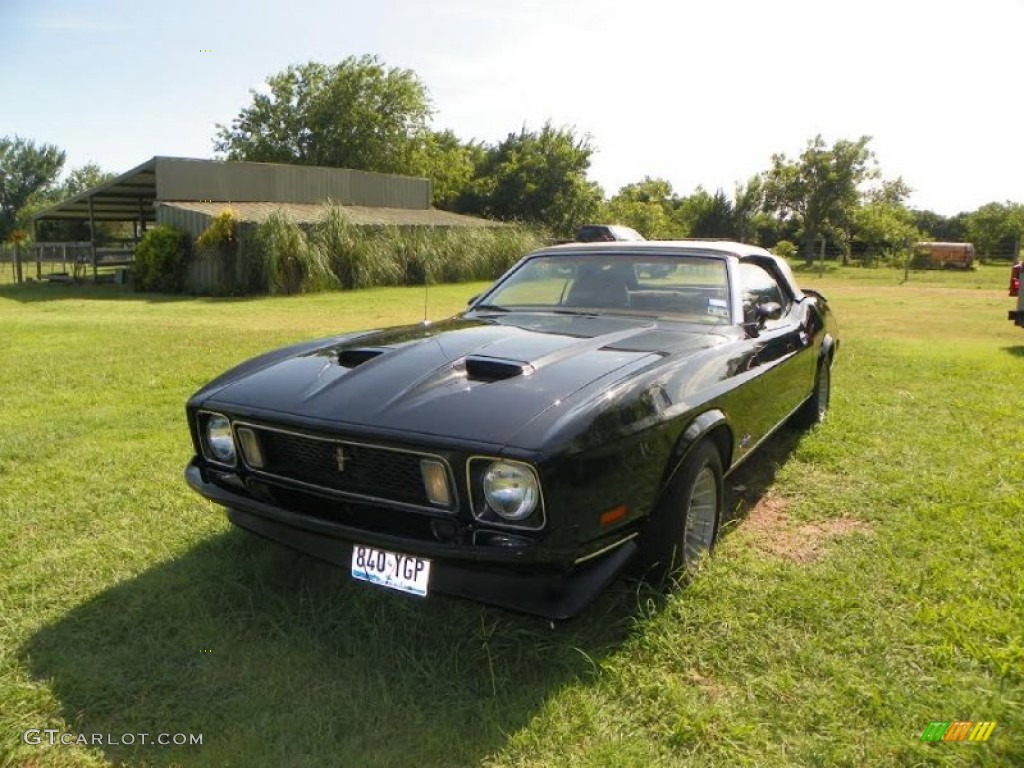 1973 Mustang Convertible - Black / Medium Ginger photo #2