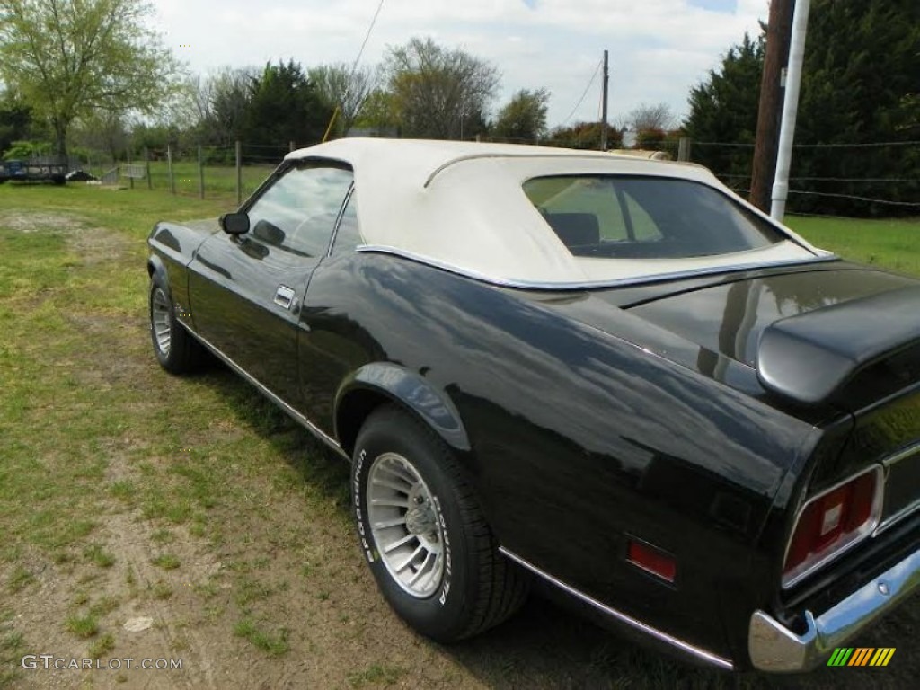 1973 Mustang Convertible - Black / Medium Ginger photo #5