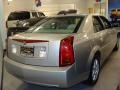 Light Platinum - CTS Sedan Photo No. 4