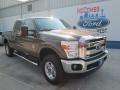 2016 Caribou Metallic Ford F250 Super Duty XLT Crew Cab 4x4  photo #1