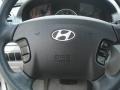 2007 Bright Silver Hyundai Sonata GLS  photo #24