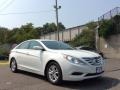 Shimmering White - Sonata GLS Photo No. 3