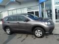 2013 Urban Titanium Metallic Honda CR-V LX AWD  photo #2