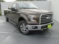 Caribou Metallic - F150 XLT SuperCrew 4x4 Photo No. 2