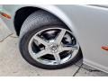 Platinum Silver Metallic - XJ Vanden Plas Photo No. 36