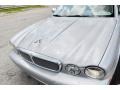 Platinum Silver Metallic - XJ Vanden Plas Photo No. 37