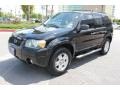Black - Escape XLT V6 Photo No. 2