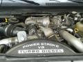 6.4 Liter OHV 32-Valve Power Stroke Turbo Diesel V8 Engine for 2009 Ford F350 Super Duty XL Crew Cab 4x4 #106944231