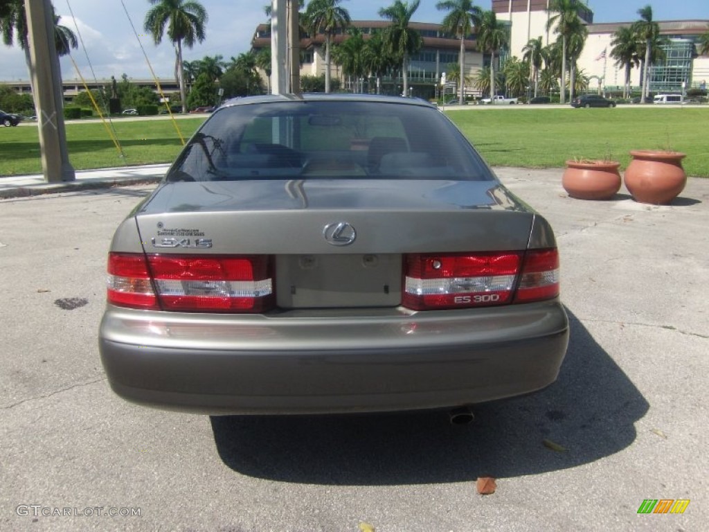 2000 ES 300 Sedan - Antique Sage Pearl / Sage photo #4