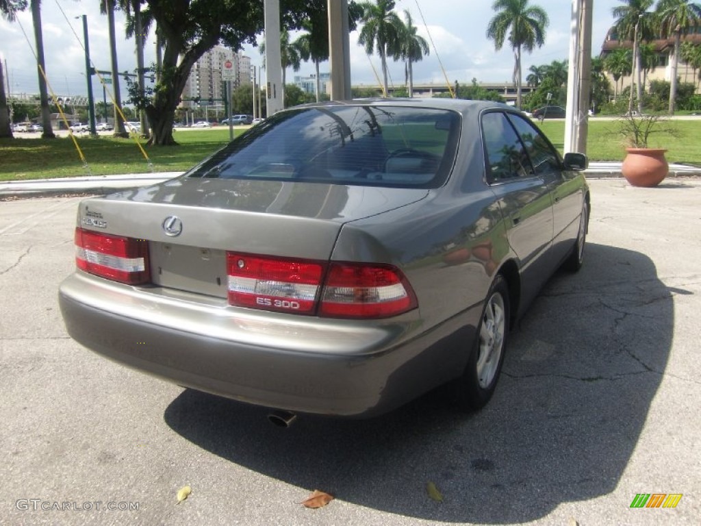 2000 ES 300 Sedan - Antique Sage Pearl / Sage photo #5