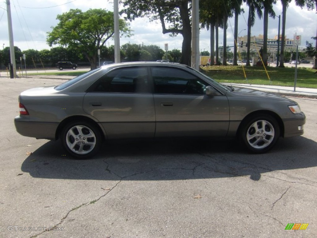 2000 ES 300 Sedan - Antique Sage Pearl / Sage photo #6