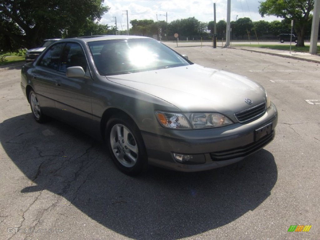 2000 ES 300 Sedan - Antique Sage Pearl / Sage photo #7