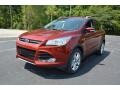 2016 Sunset Metallic Ford Escape Titanium  photo #1