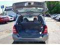 Platinum Silver Metallic - Forester 2.5 XS Photo No. 8