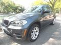 2011 Platinum Gray Metallic BMW X5 xDrive 35i  photo #1