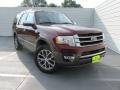 Bronze Fire Metallic - Expedition King Ranch Photo No. 2