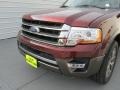 Bronze Fire Metallic - Expedition King Ranch Photo No. 10