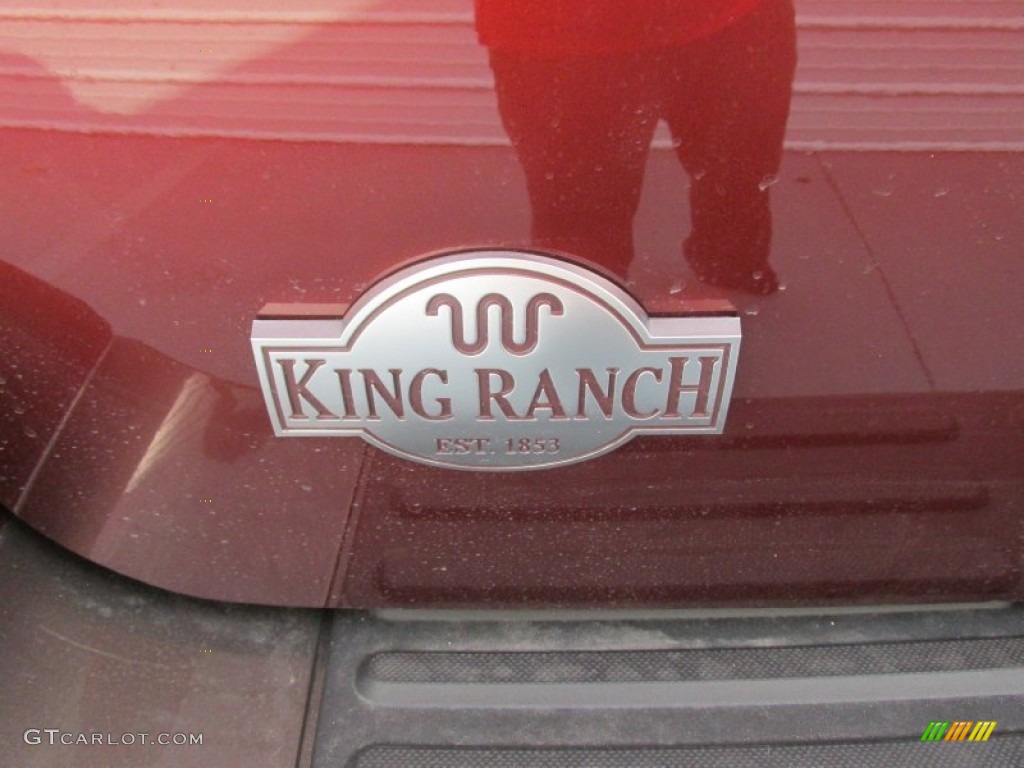 2016 Expedition King Ranch - Bronze Fire Metallic / King Ranch Mesa Brown/Ebony photo #14