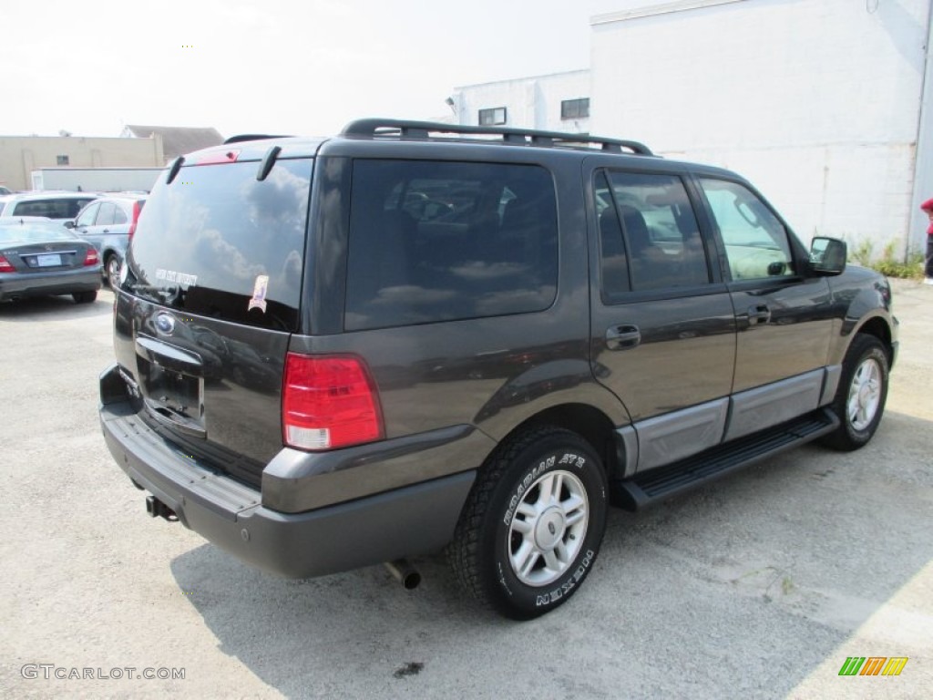 2005 Expedition XLT 4x4 - Dark Stone Metallic / Medium Parchment photo #3