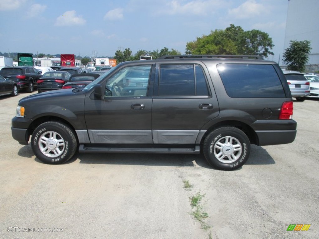 2005 Expedition XLT 4x4 - Dark Stone Metallic / Medium Parchment photo #7