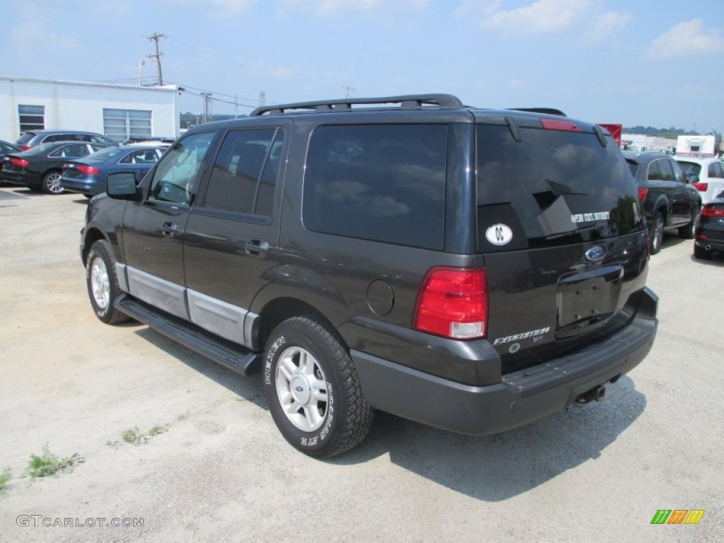 2005 Expedition XLT 4x4 - Dark Stone Metallic / Medium Parchment photo #10