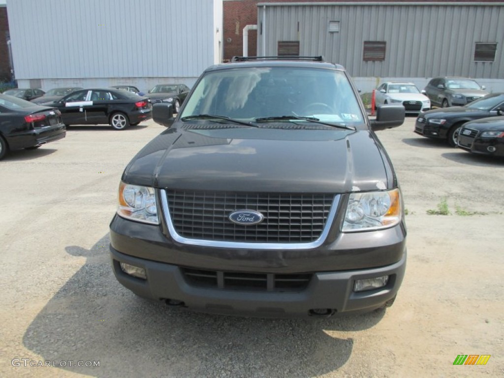 2005 Expedition XLT 4x4 - Dark Stone Metallic / Medium Parchment photo #11