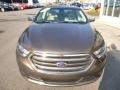 2015 Caribou Metallic Ford Taurus Limited AWD  photo #3