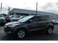 2016 Magnetic Metallic Ford Escape SE  photo #3