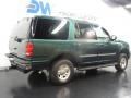 1999 Tropic Green Metallic Ford Expedition XLT 4x4  photo #4