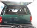 1999 Tropic Green Metallic Ford Expedition XLT 4x4  photo #8
