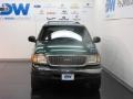 1999 Tropic Green Metallic Ford Expedition XLT 4x4  photo #9