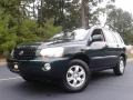 2003 Electric Green Mica Toyota Highlander V6 4WD #107044098